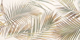 Domino Misteria Palm