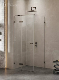 New Trendy Avexa Gunmetal...