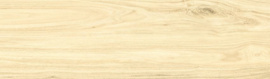 Ceramika Gres Rainwood...