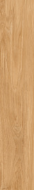Azario Amberline Oro