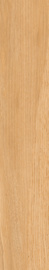 Azario Amberline Honey