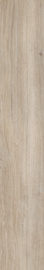 Ceramika Paradyż Heartwood...