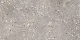 Azario Gemstone Grey