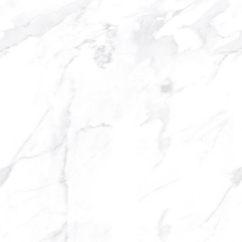Azario Albino Bianco Mat...