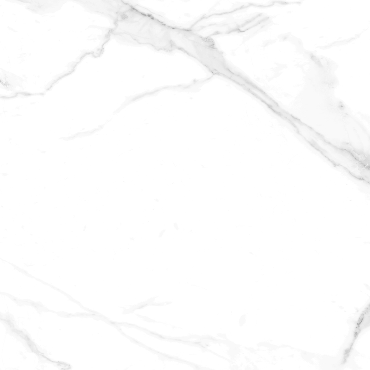 Azario Royality Carrara